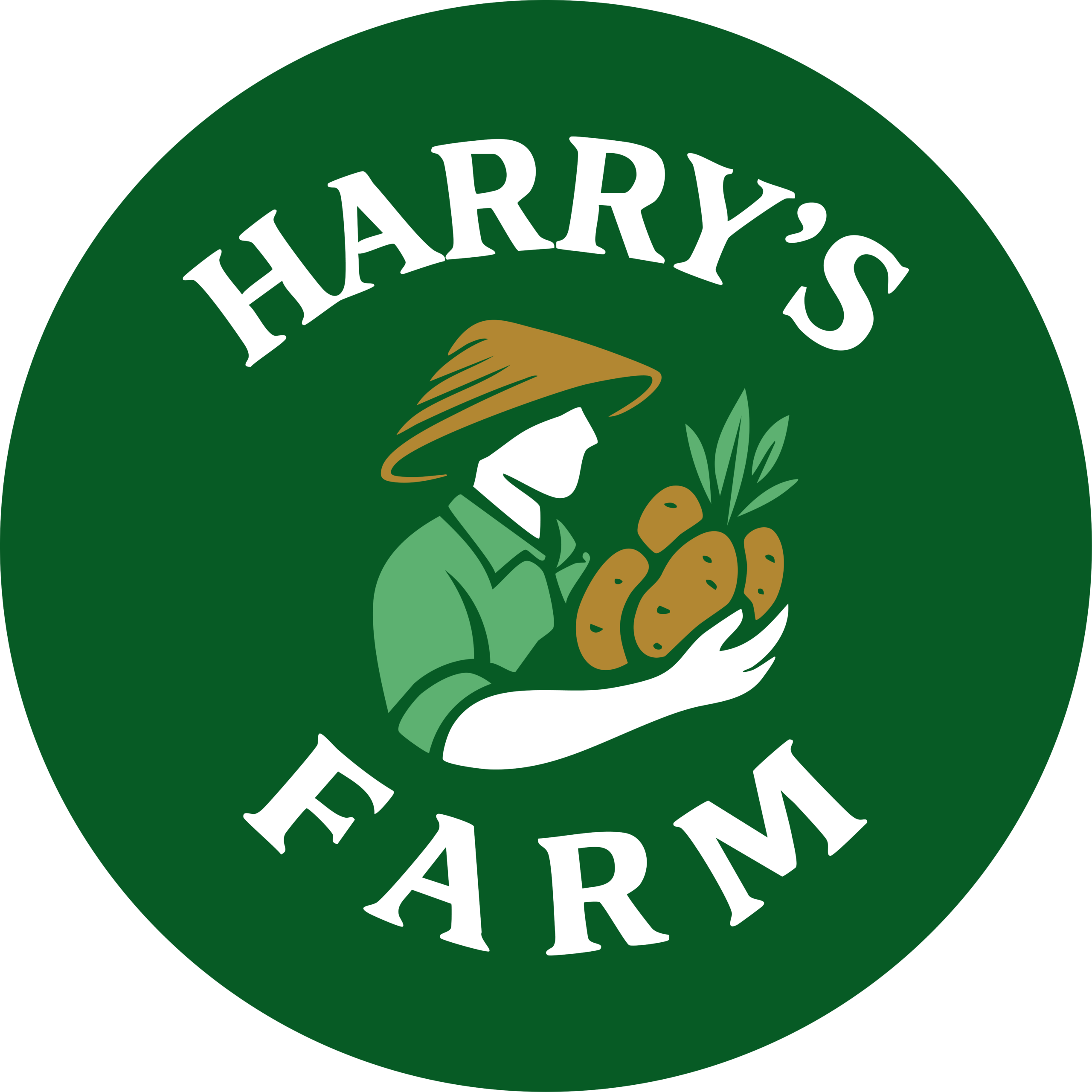 Harry's farm